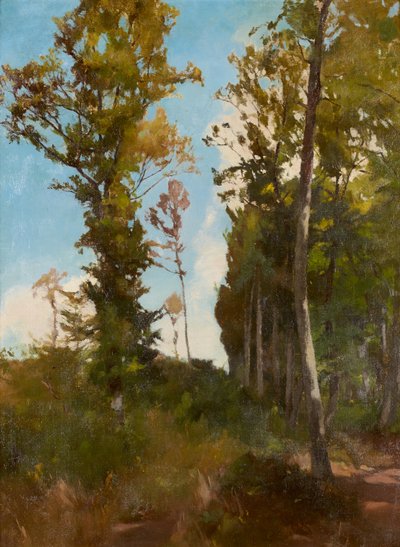 Clairière forestière près de Purkersdorf - Carl Schuch