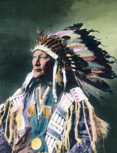 États-Unis, Portrait d