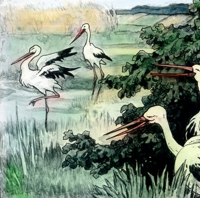 Wilhelm Hauff - Contes de fées - Le calife cigogne, vers 1910 - Carl Simon