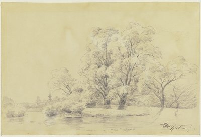Paysage avec des arbres au bord de l
