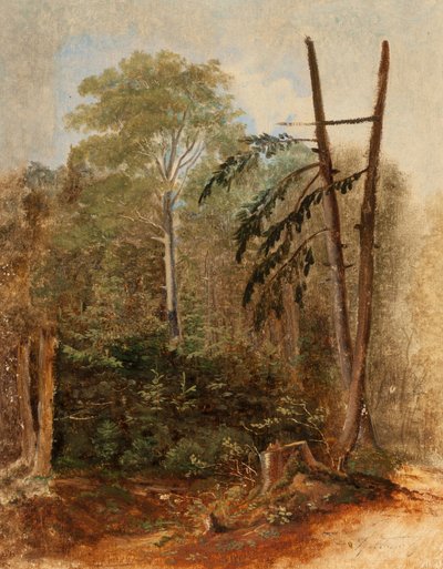 Étude d