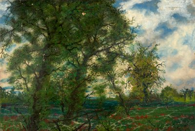 Paysage de printemps - Carl Strathmann