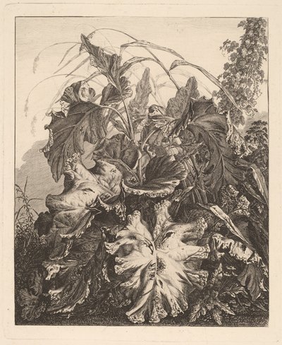 Feuillage avec roseaux - Carl Wilhelm Kolbe