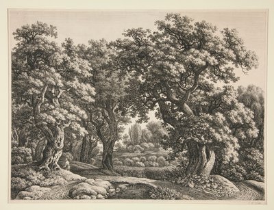 Paysage forestier - Carl Wilhelm Kolbe the elder