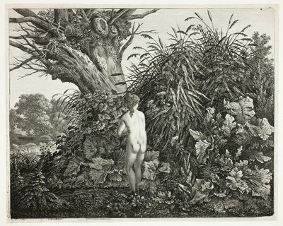 Nymphe dans un bois marécageux - Carl Wilhelm Kolbe, the elder
