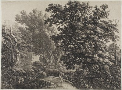 Pont rustique dans un bois enchevêtré - Carl Wilhelm Kolbe, the elder