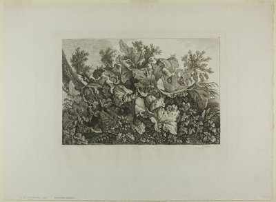 Plantes des marais - Carl Wilhelm Kolbe, the elder