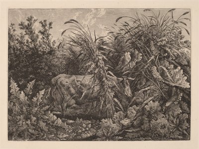 La vache dans le marais - Carl Wilhelm Kolbe, the elder