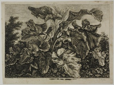 Feuille de légumes - Carl Wilhelm Kolbe, the elder
