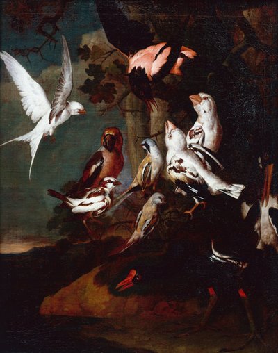 Gallinule, hirondelle, pinsons et autres oiseaux dans un paysage de rivière boisée - Carl Wilhelm de Hamilton