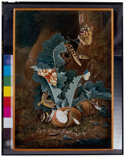Nature morte au sol forestier avec escargots, serpents, lézards et papillons - Carl Wilhelm de Hamilton
