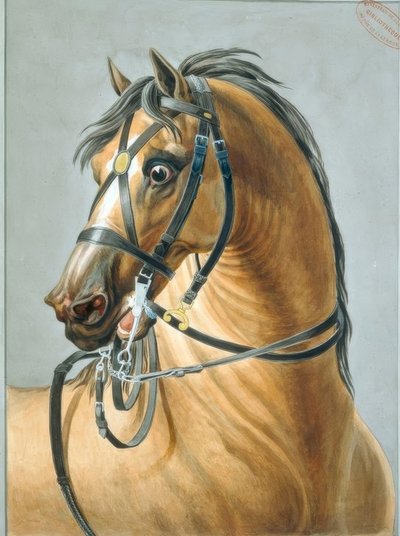 Bride pour les chevaux d’artillerie - Carle Vernet