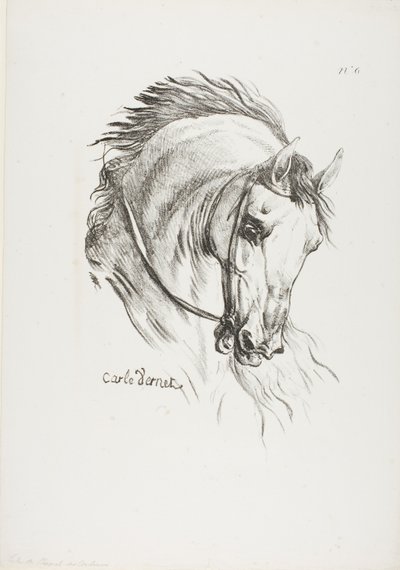 Détail de la tête de cheval, agrandie au triple, Hussard, Garde royale, n° 6 - Carle Vernet