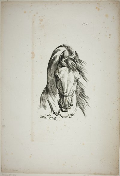 Détail de la tête de cheval, agrandie au triple, Garde royale normande, n° 1 - Carle Vernet
