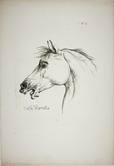Détail de la tête de cheval, agrandie au triple, Garde royale normande, n° 4 - Carle Vernet