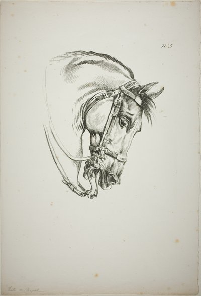 Détail de la tête de cheval, agrandie au triple, Garde royale normande, n° 5, Premier cheval de Limoges - Carle Vernet