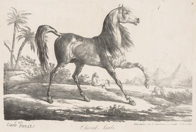 Suite de chevaux : Cheval arabe - Carle Vernet
