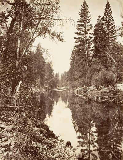 Rivière Merced, Yosemite, vers 1872, imprimé vers 1876 - Carleton E. Watkins.