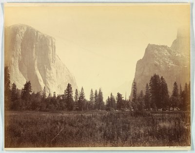 En haut de la vallée depuis le pied du sentier Mariposa, Yosemite, no. 9 - Carleton E. Watkins