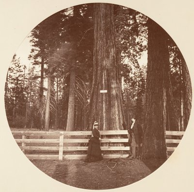 Auld Reckie. C. Grove - Carleton Emmons Watkins