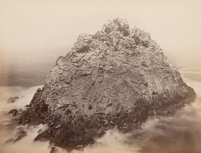 Îles Sugar Loaf, Farallons, 1868-69 - Carleton Emmons Watkins