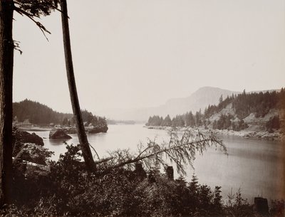 Vue sur la Columbia, Cascades, 1867 - Carleton Emmons Watkins