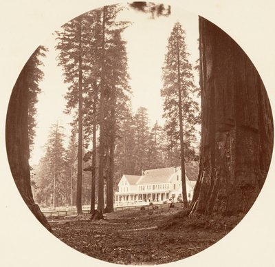 W. C. Bryant - Calaveras Grove, vers 1878 - Carleton Emmons Watkins