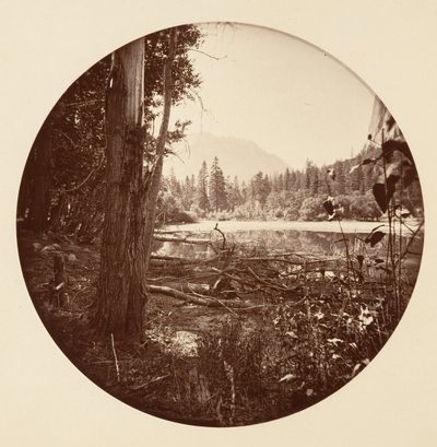 [Parc national de Yosemite, Californie], ca. 1878 - Carleton Emmons Watkins