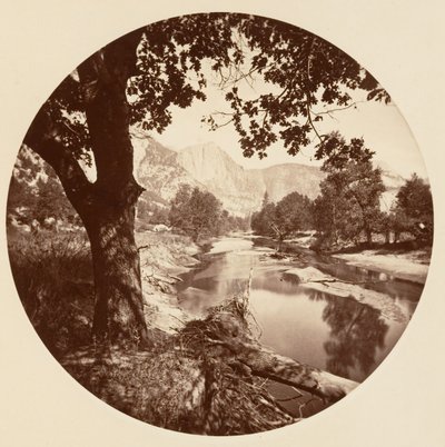 [Parc national de Yosemite, Californie] - Carleton Emmons Watkins