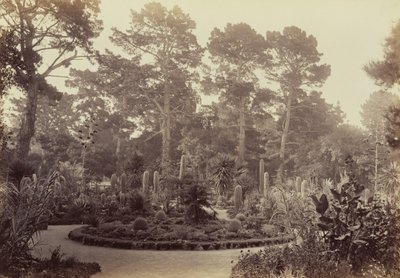  - Carleton Watkins