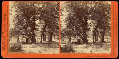 Cabane dans le Camp Grove, vallée de Yosemite, comté de Mariposa, Californie - Carleton Watkins