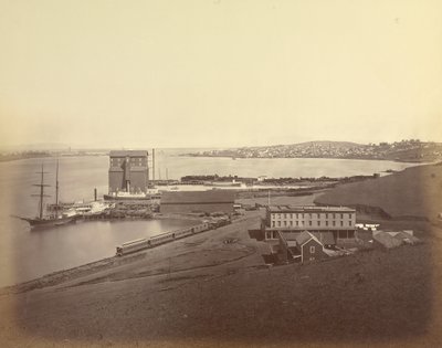  - Carleton Watkins