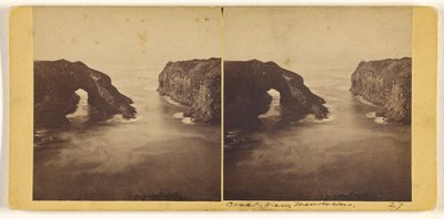  - Carleton Watkins
