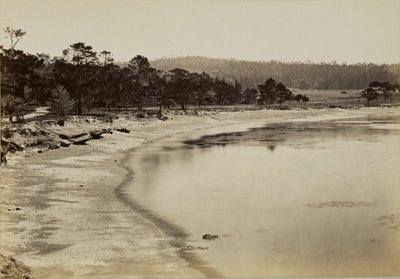  - Carleton Watkins