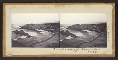 Vue de la côte au large de Mendocino - Carleton Watkins