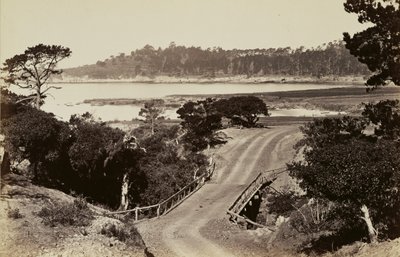 [Vue de la côte près de Monterey] - Carleton Watkins