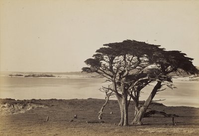  - Carleton Watkins