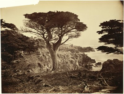  - Carleton Watkins