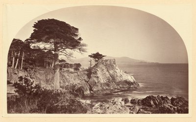  - Carleton Watkins