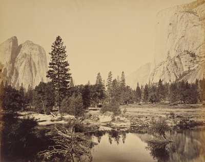  - Carleton Watkins
