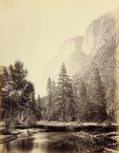  - Carleton Watkins