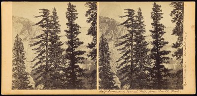 Half Dome et Vernal Fall, depuis South Fork - Carleton Watkins