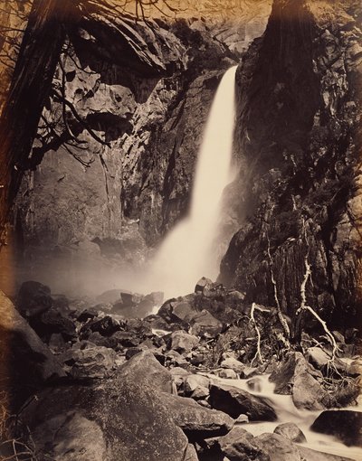  - Carleton Watkins