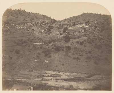 [Mariposa Creek]. - Carleton Watkins