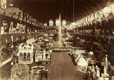  - Carleton Watkins