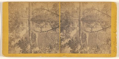 [Vue en miroir, vallée de Yosemite, comté de Mariposa, Californie]. - Carleton Watkins