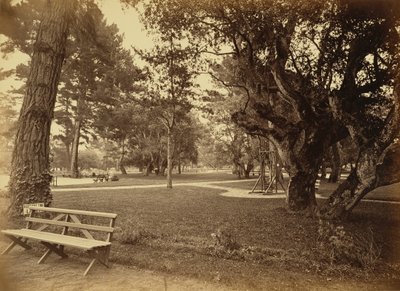 [Monterey, Californie, Hôtel Del Monte, Lawn View]. - Carleton Watkins