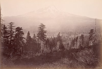  - Carleton Watkins