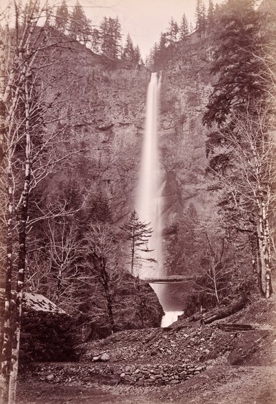  - Carleton Watkins