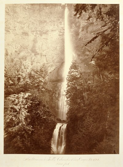  - Carleton Watkins
